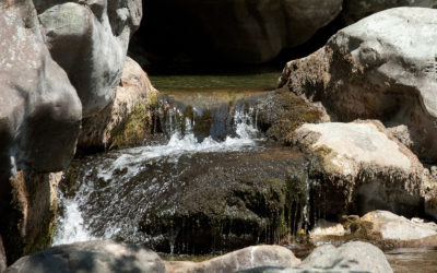 Wasser ist ein Menschenrecht! Wir unterstützen den AVEDA Earth Month 2017