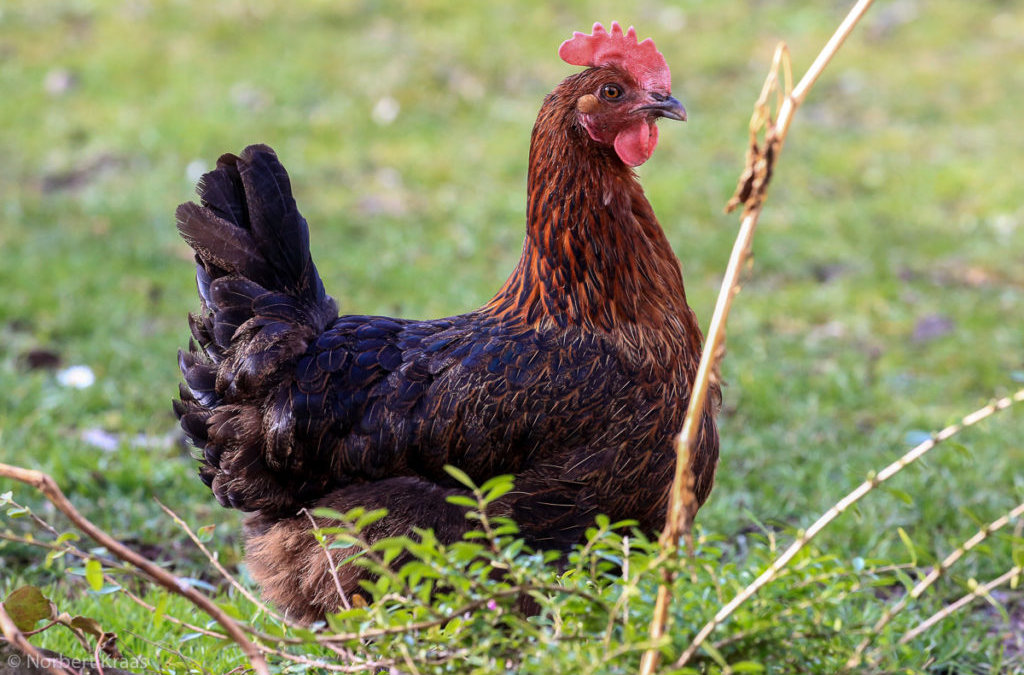 update: jetzt doch keine Ruhetage im Friseursalon an Gründonnerstag und Karsamstag