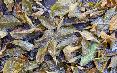 Die Heizperiode ist Trockenzeit