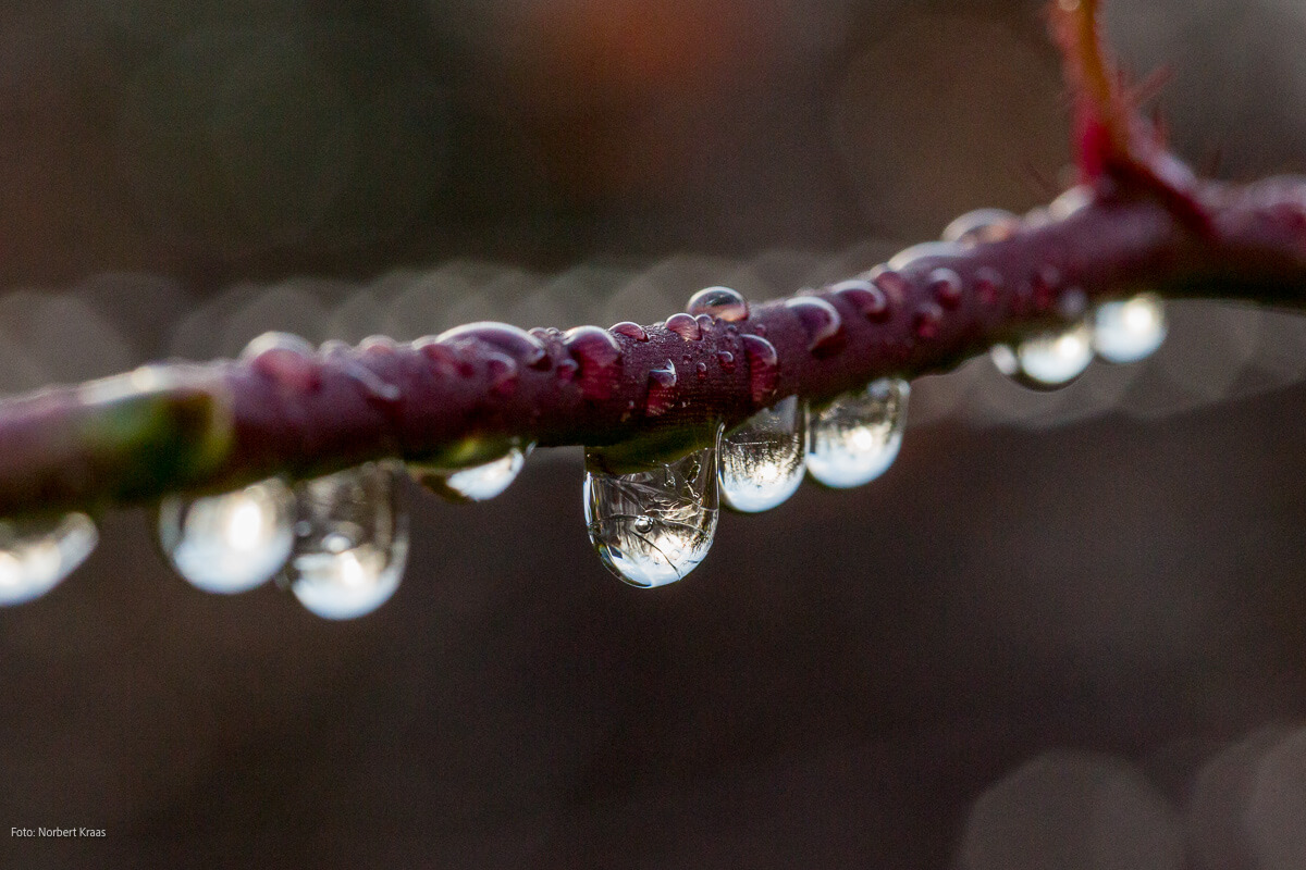 Wasser – mancherorts Tropfen für Tropfen kostbar Wasser – mancherorts Tropfen für Tropfen kostbar